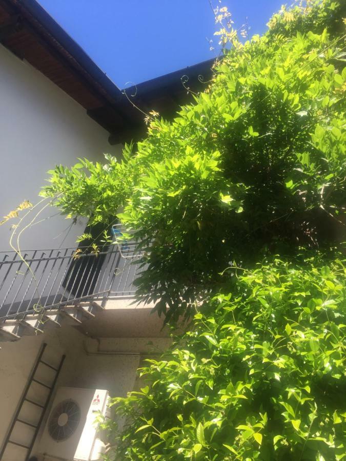 Delizioso Appartamento In Corte Vittuone Екстериор снимка